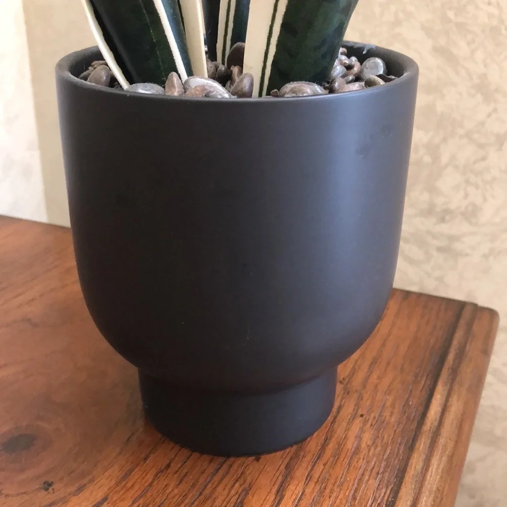 Faux snake plant in a ceramic pot. Pretty rocks with a sealed coating.